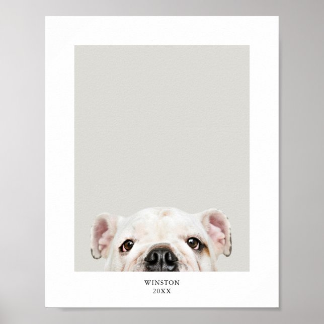 Personalisiertes Pet-Foto und Name Poster (Vorne)