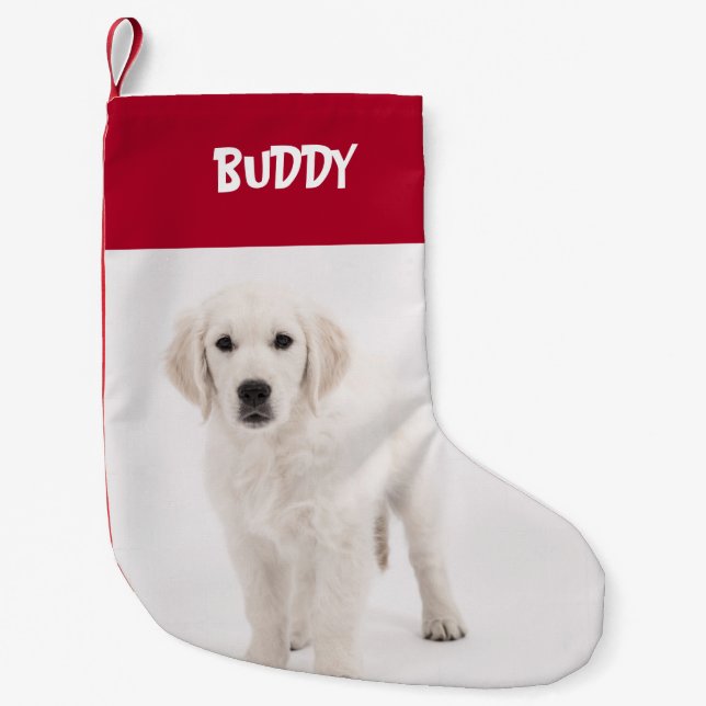 Personalisiertes Pet-Foto und Name Rot Kleiner Weihnachtsstrumpf (Vorderseite)