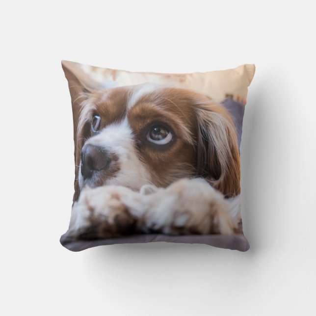 Personalisiertes Pet-Kissen Kissen (Vorderseite)