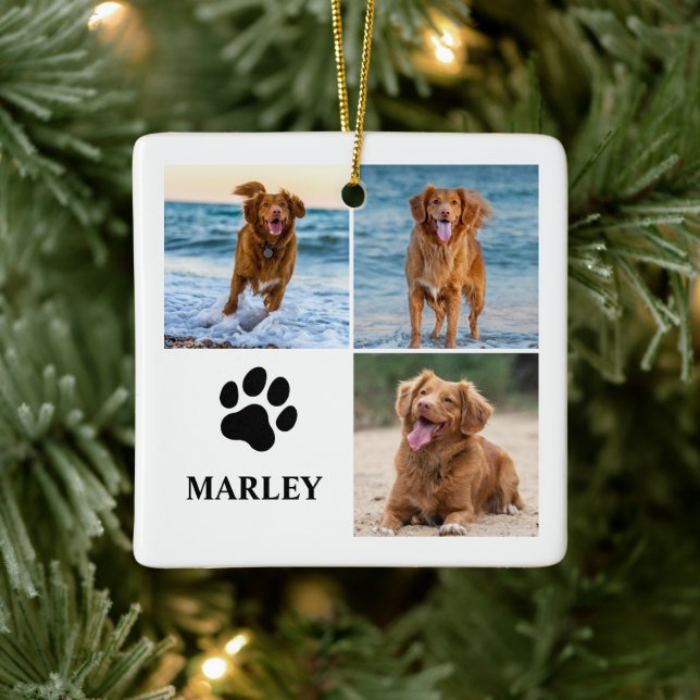 Personalisiertes Pfoten-Hunde-Liebhaber-Foto-Colla Keramikornament (Baum)