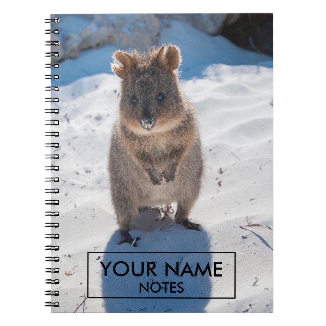 Personalisiertes Quokka am Strand Notizblock (Vorderseite)