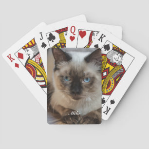 Personalisiertes Ragdoll-Katzenfoto und Name Spielkarten