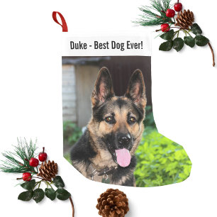 Personalisiertes Schäferhund-HundeFoto, Hundename Kleiner Weihnachtsstrumpf