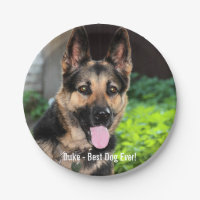 Personalisiertes Schäferhund-HundeFoto, Hundename