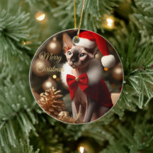 Personalisiertes Sphynx-Katzen-Weihnachtsfoto