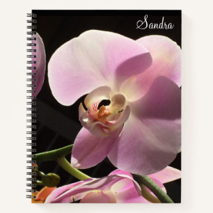 Personalisiertes Spiralnotizbuch mit rosa Orchidee Notizbuch