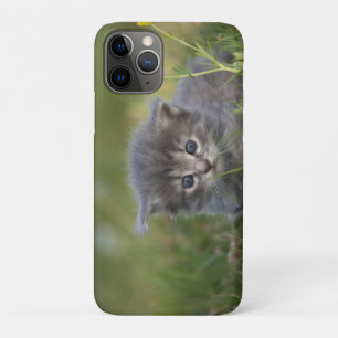 Personalisiertes süßes Kätzchen Case-Mate iPhone Hülle