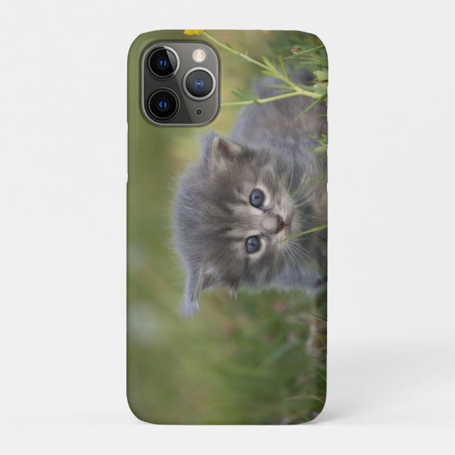 Personalisiertes süßes Kätzchen Case-Mate iPhone Hülle (Rückseite)