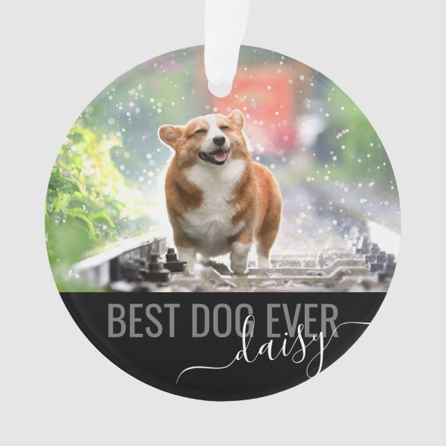 Personalisiertes Tier Bester Hund je Modernes Foto Ornament (Vorderseite)