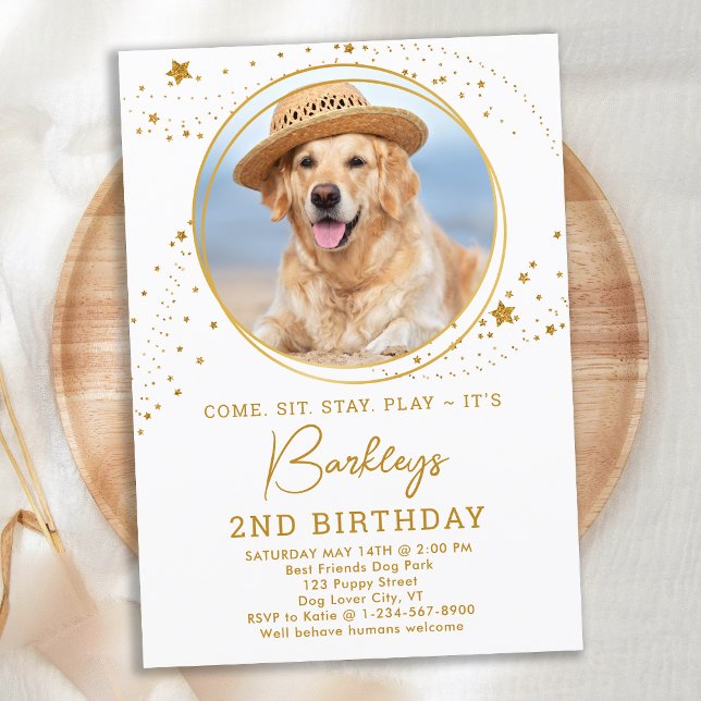 Personalisiertes Tier Foto Gold Stars Hund Geburts Einladung (Von Creator hochgeladen)