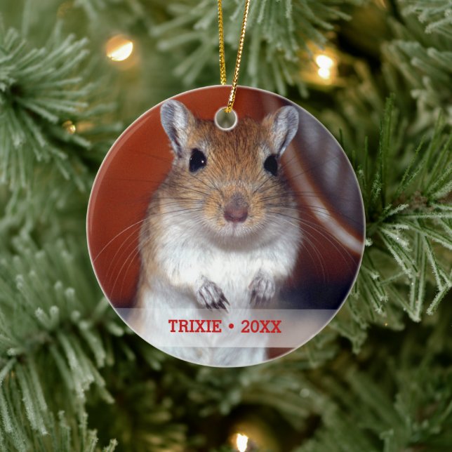 Personalisiertes Tier Gerbil Foto Name Weihnachtsb Keramikornament (Baum)