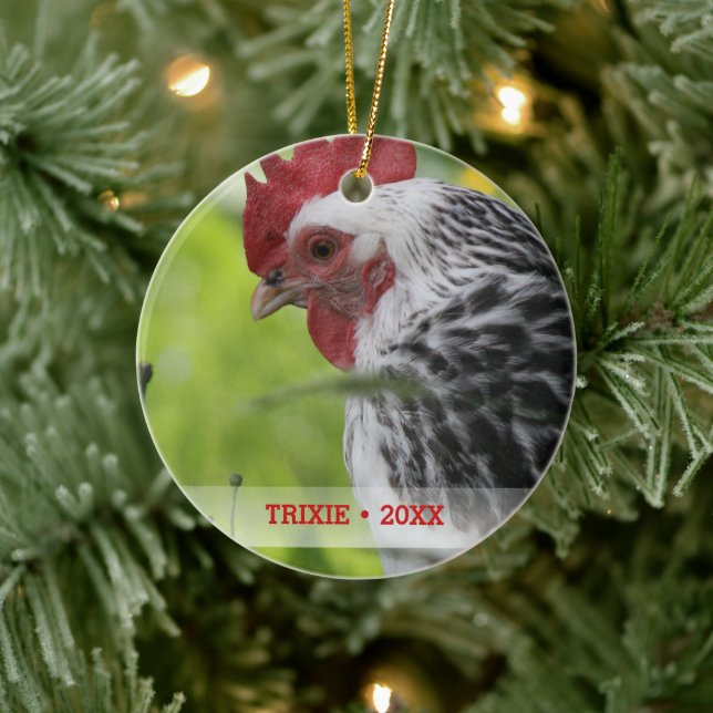 Personalisiertes Tier Hühnchen Foto Weihnachtsbaum Keramik Ornament (Baum)