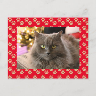 Personalisiertes Tier Katze Foto Meowy Weihnachten
