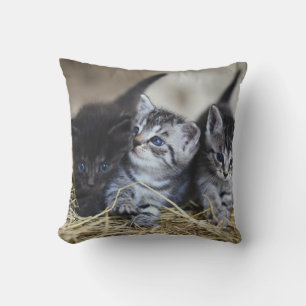 Personalisiertes Tier Kissen