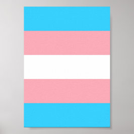 Personalisiertes Transgender-Flag Poster