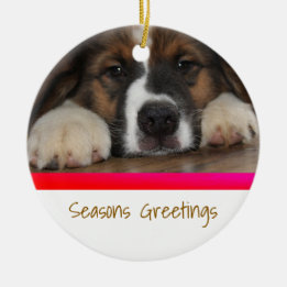 Personalisiertes Weihnachtsgeschenk für Haustiere Keramik Ornament