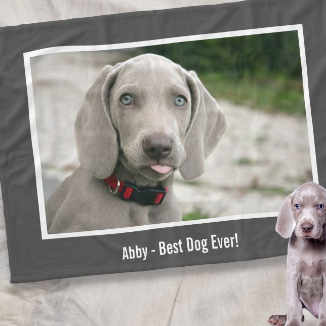Personalisiertes Weimaraner-Hund-Foto und Name des Fleecedecke (Von Creator hochgeladen)