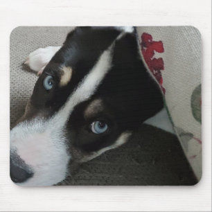 Personalisiertes Welpe-Foto Mousepad