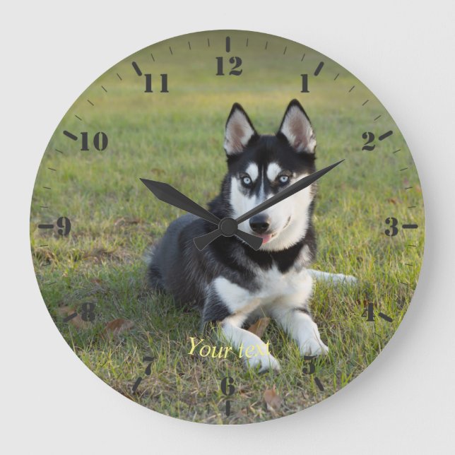 Personalize Happy playful Siberian Husky puppy Große Wanduhr (Vorderseite)