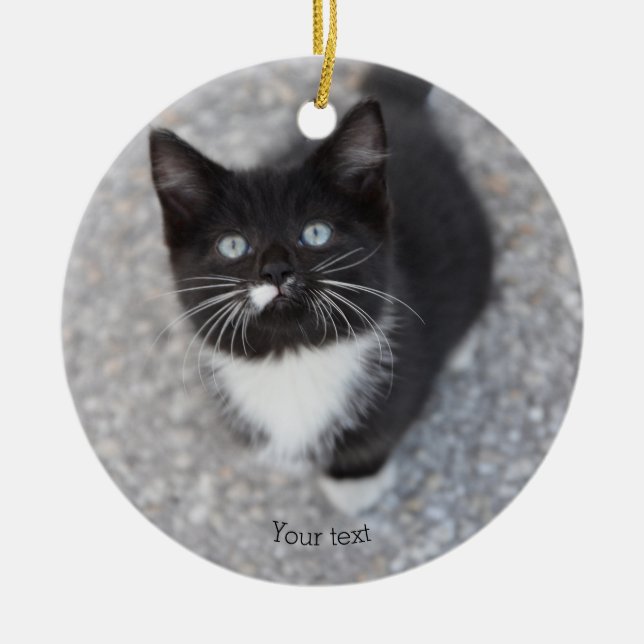 Personalize Tuxedo Schwarzweiß Kitten Keramik Ornament (Vorne)