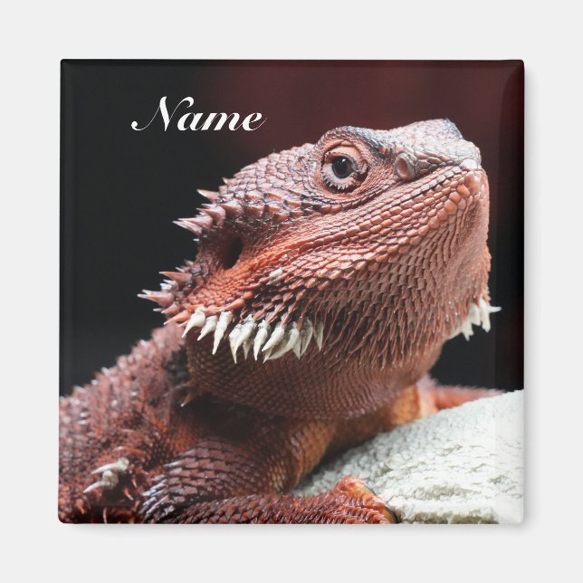 Personalized Adult Red Bearded Dragon Lizard Magnet (Vorne)