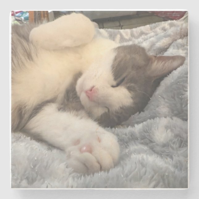 Personalized Cat Photo Pet Lover Gift Steinuntersetzer (Vorderseite)