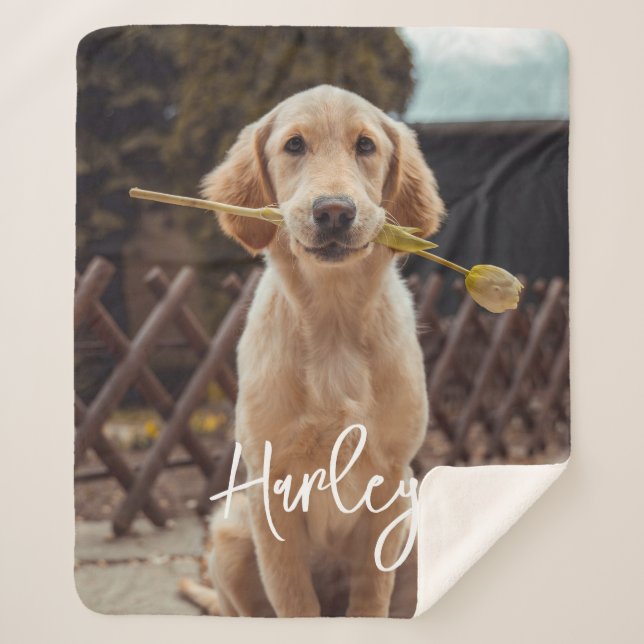 Personalized Custom Photo And Text Sherpadecke (Vorderseite)