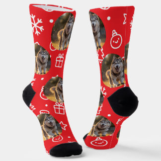 Personalized Custom Photo Blob - Winter Husky  Socken