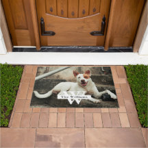 Personalized Dog Photo Family name