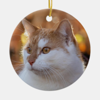 Personalized Kitty Cat Photo Keramik Ornament