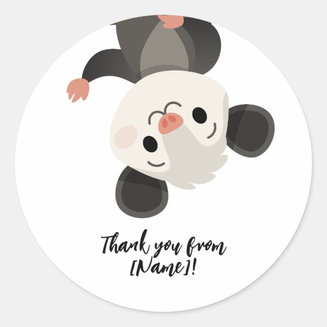 Personalized Opossum Runder Aufkleber (Vorderseite)