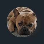 Personalized Pet Dog Photo Button<br><div class="desc">Personalized Pet Dog Photo Luggage Tag</div>