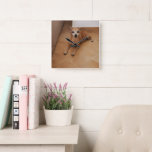 Personalized Pet Photo  Quadratische Wanduhr<br><div class="desc">Bring your friend to every hour of your day!
This wall clock can be personalized with your pet's photo,  perfect for animal lovers who want to combine functionality with personality,  this clock makes every glance at the time aa reminder of your loyal companion</div>