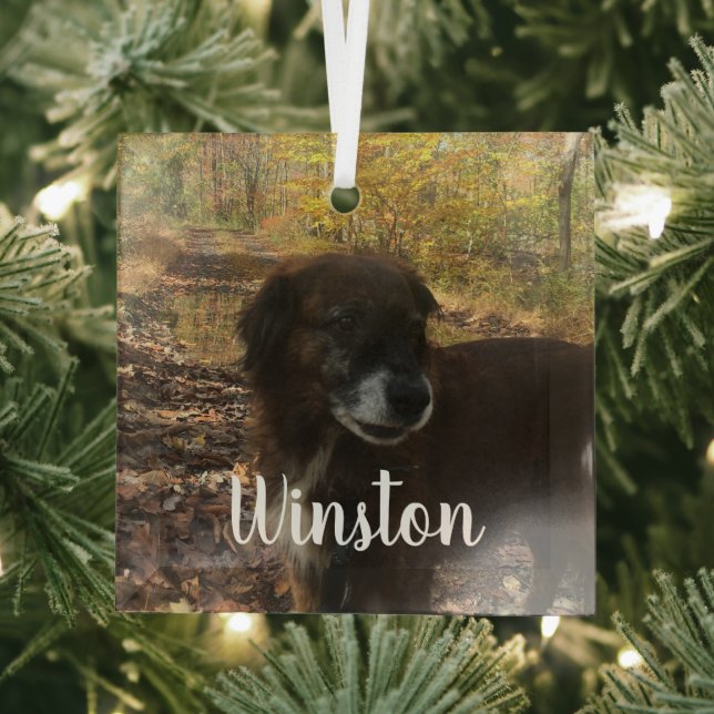 Personalized Photo White Script Ornament Aus Glas (Insitu)