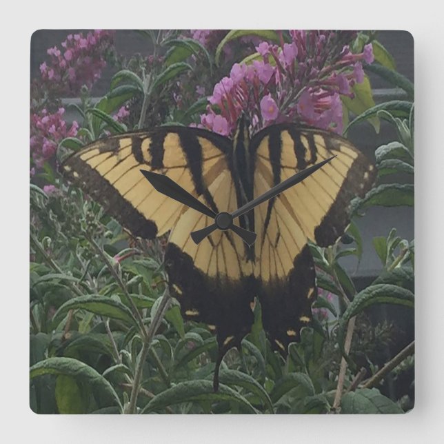 Personalized Photo Yellow and Black Butterfly Quadratische Wanduhr (Vorderseite)