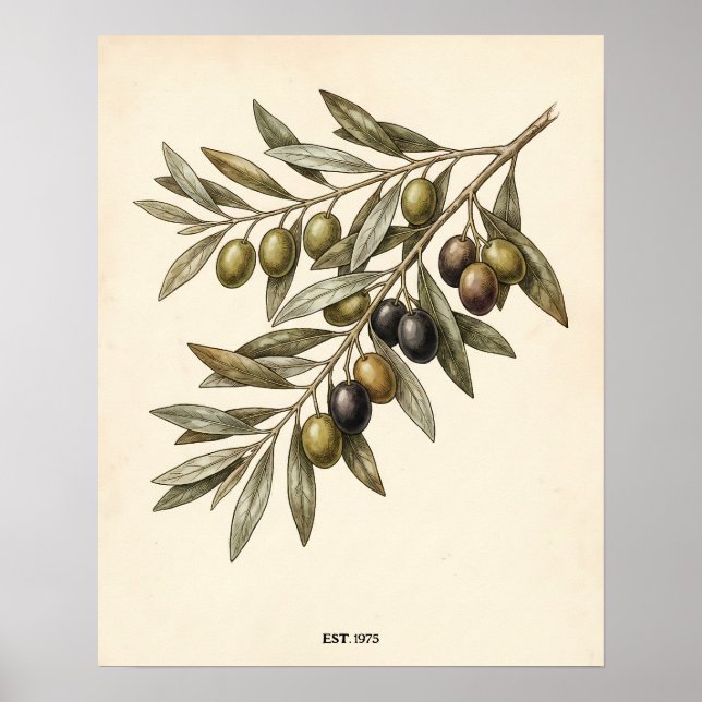 Personalized Rustic Vintage Olive Branch Kitchen Poster (Vorne)