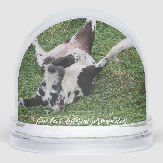 personalized snow globe featuring two of your own  schneekugeln (Vorderseite)