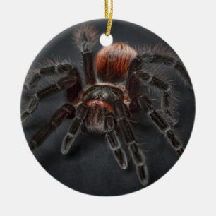 Personalized Tarantula Spider Christmas Keramik Ornament