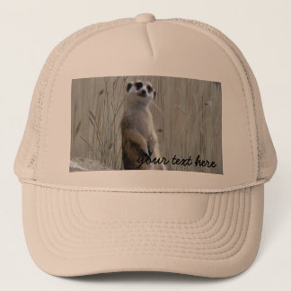 Personifizieren Sie diesen niedlichen meerkat Truckerkappe