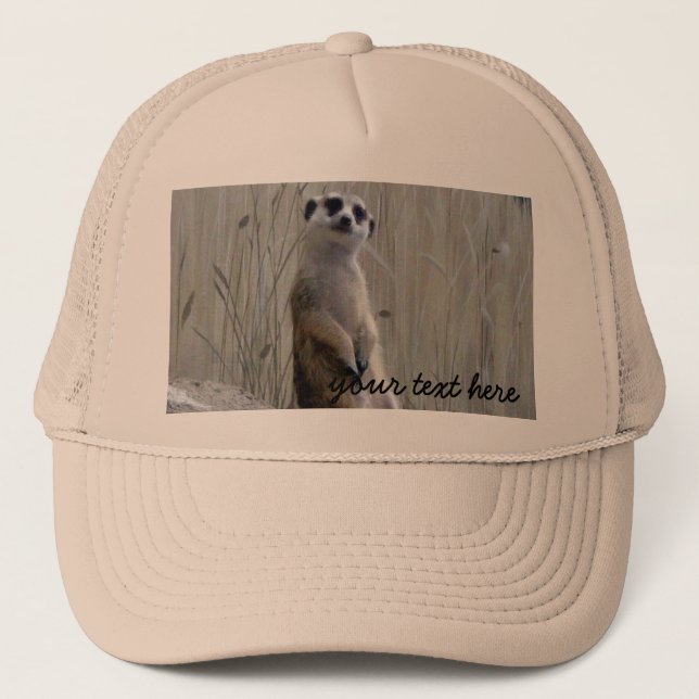 Personifizieren Sie diesen niedlichen meerkat Truckerkappe (Vorderseite)