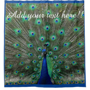 Personifizieren Sie Strutting männlichen Pfau Duschvorhang