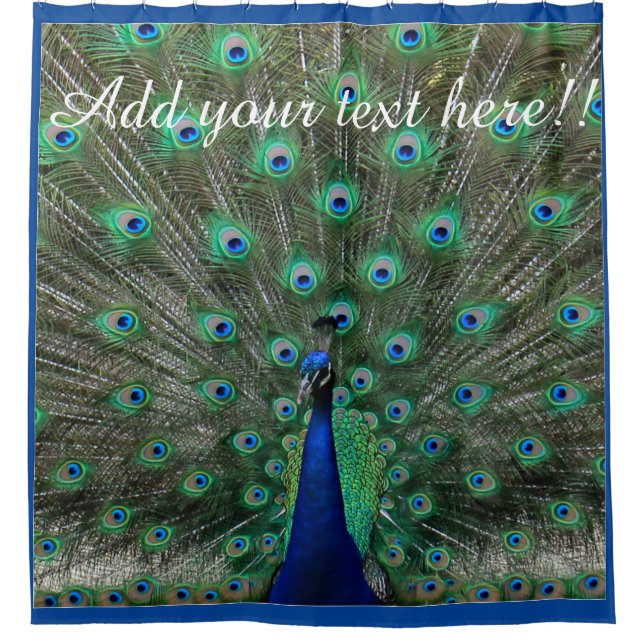 Personifizieren Sie Strutting männlichen Pfau Duschvorhang (Vorderseite)