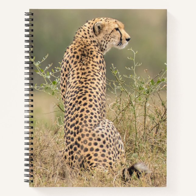 Persönliche Bezeichnung Cheetah Spiral Notebook Notizbuch (Vorderseite)