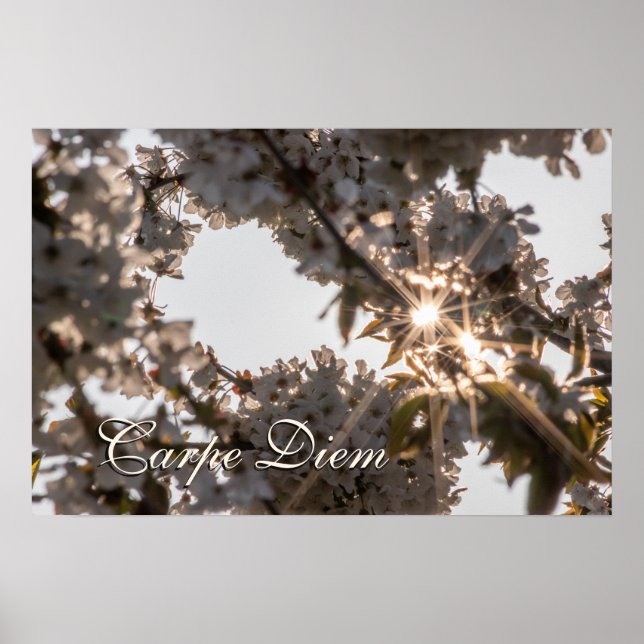 Persönliche Carpe Diem glänzende Apfelbaumblüten Poster (Vorne)