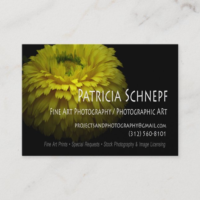 Persönliches Geschäft Card-2 Patricia Schnepfs Visitenkarte (Vorderseite)