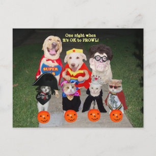 Personnalisable Funny Pets Carte postale / Invitat