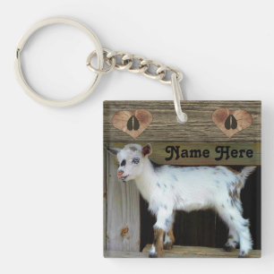 Personnalisation de la chèvre laitière naine nig