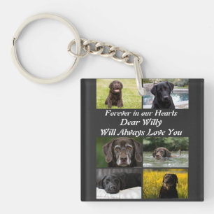 Personnalisation moderne Pet Memorial 6 Photo Coll