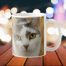 Personnalisé Famille Animaux Photo Café Mug