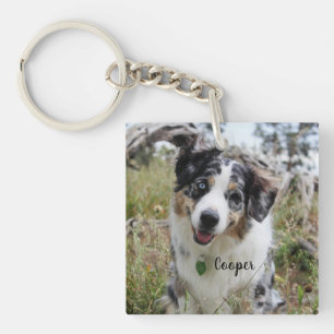 Personnalisé Merle Australian Shepherd Puppy